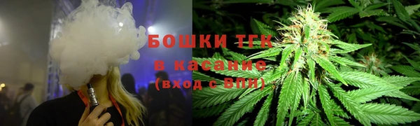 меф Вяземский